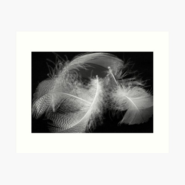 Item preview, Feathers designed and sold by Ellesscee.