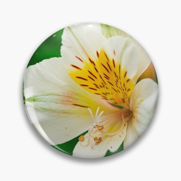 Item preview, White Peruvian lily designed and sold by Martin Leber.