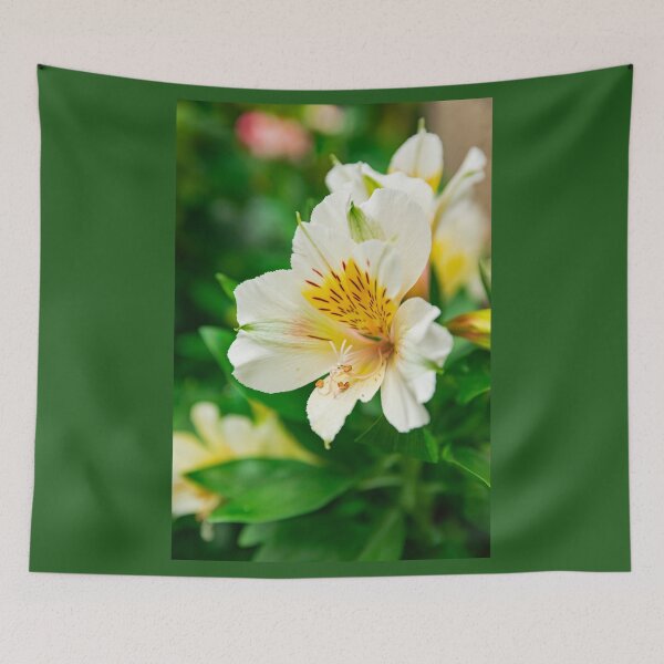 Item preview, White Peruvian lily designed and sold by Martin Leber.