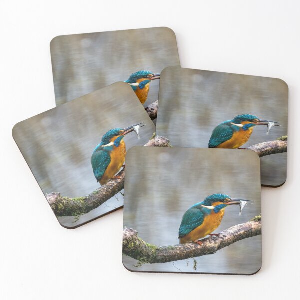 Item preview, Kingfisher designed and sold by iCimages.net.