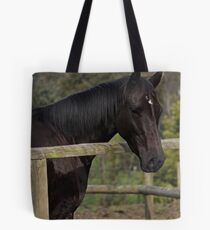 Ashmark Micah Tote Bag