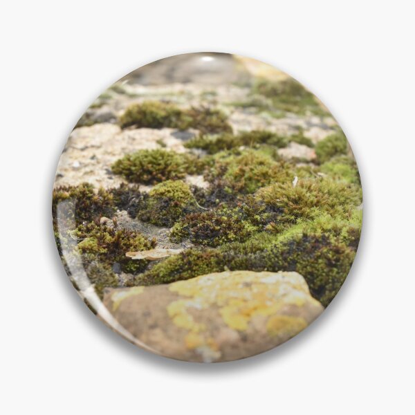 Artikelvorschau, Moss Rock entworfen und verkauft von GBGart.