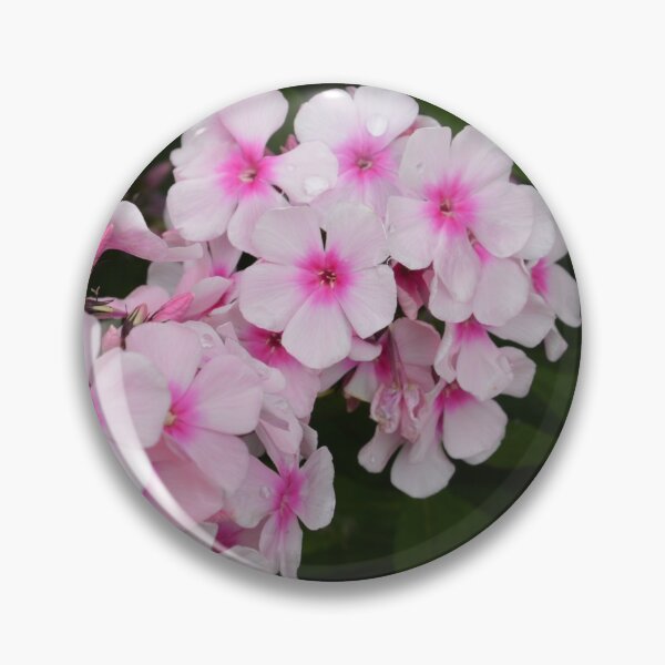 Item preview, Hint of Pink designed and sold by bradleyduncan.