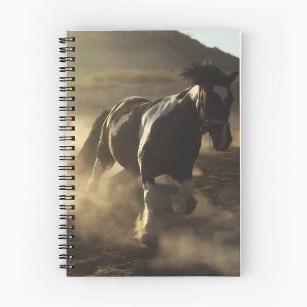 Artikelvorschau, Melodie, die Staub aufwirbelt entworfen und verkauft von CaballoBlanco.