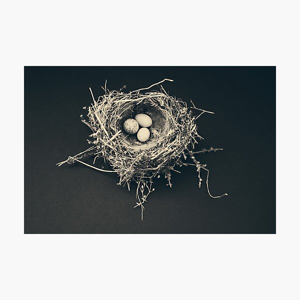 Item preview, bird nest designed and sold by beverlylefevre.