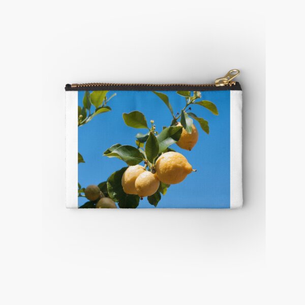 Item preview, Lemons against blue sky designed and sold by LindaCooke.