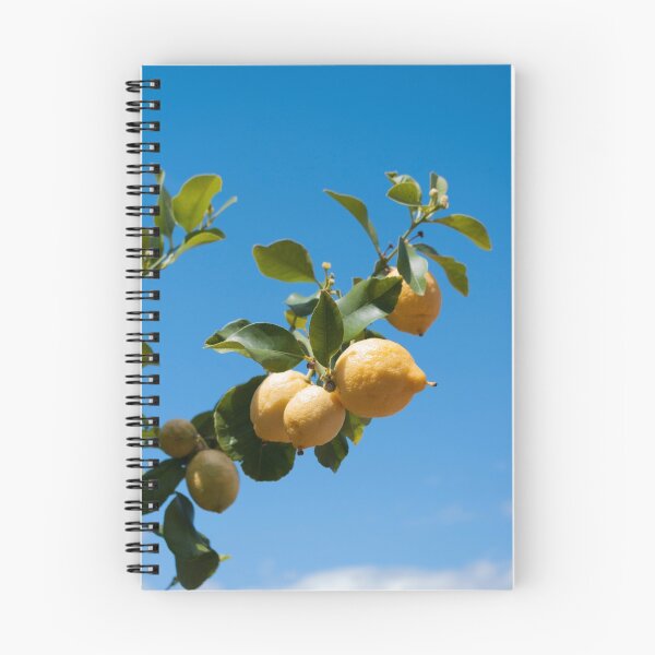 Item preview, Lemons against blue sky designed and sold by LindaCooke.