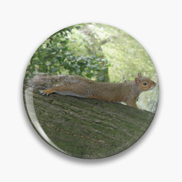 Item preview, Grey Squirrel on a Tree Trunk Photograph designed and sold by naturegallery.