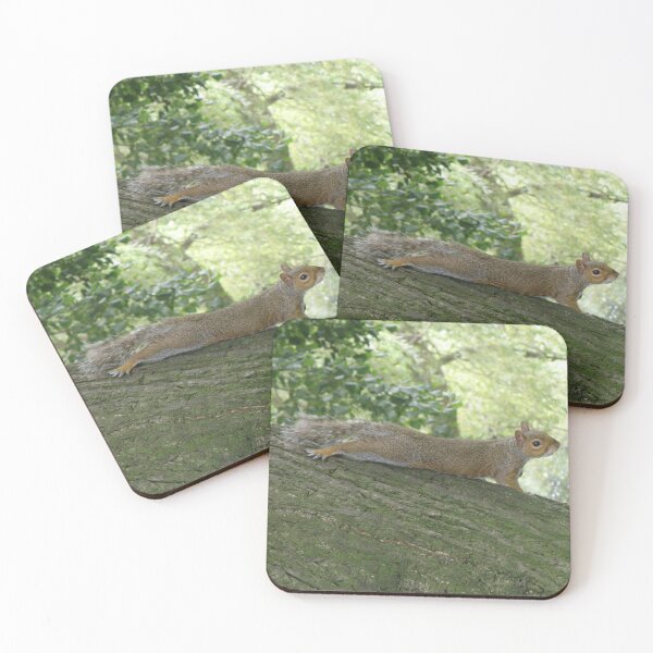 Item preview, Grey Squirrel on a Tree Trunk Photograph designed and sold by naturegallery.