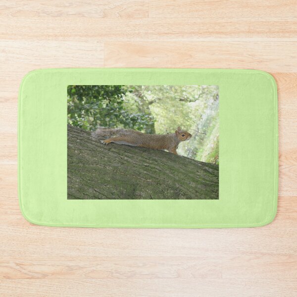 Item preview, Grey Squirrel on a Tree Trunk Photograph designed and sold by naturegallery.