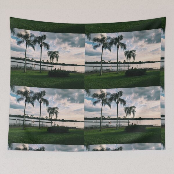 Item preview, Seven Seas Lagoon en DisneyWorld designed and sold by melissabess.