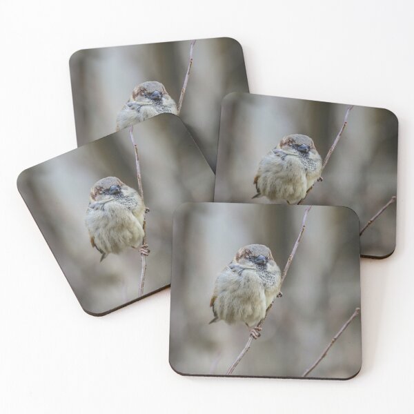 Item preview, Passer Domesticus designed and sold by Simão Arinto - In a Poet's Arid Room.