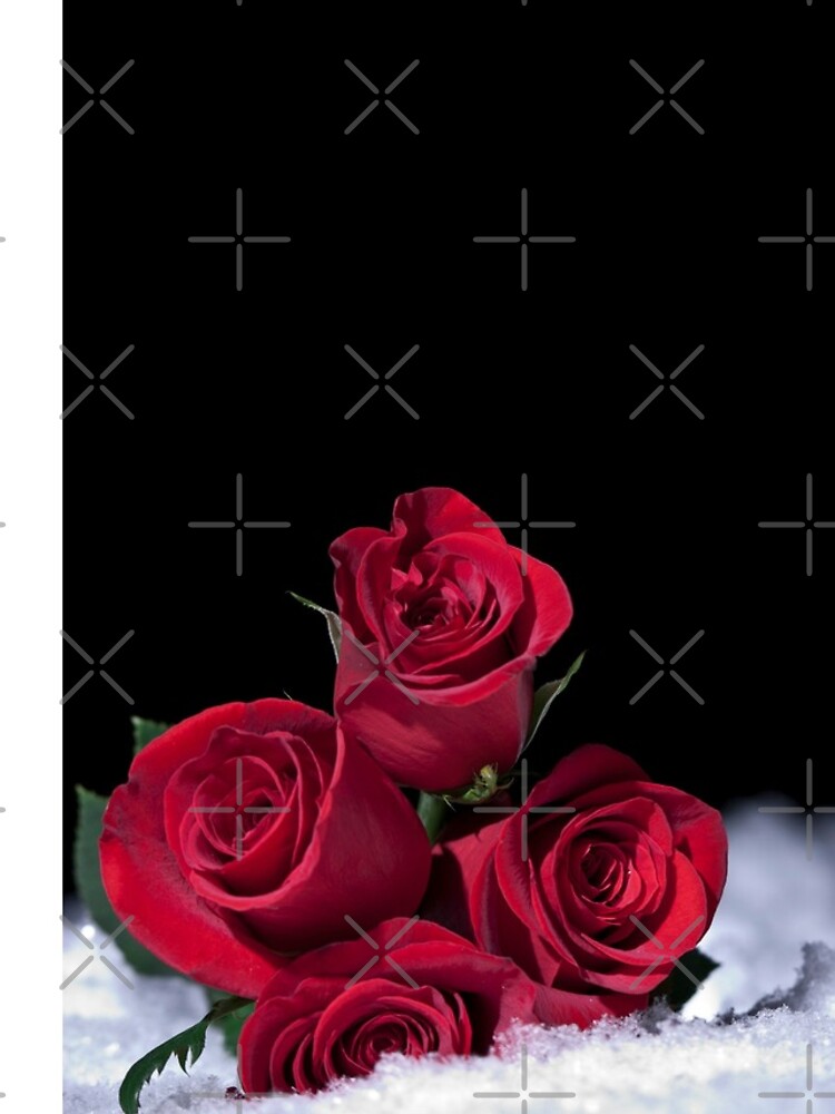 Thumbnail 5 of 5, iPhone Case, Snow Roses designed and sold by debsmemories.