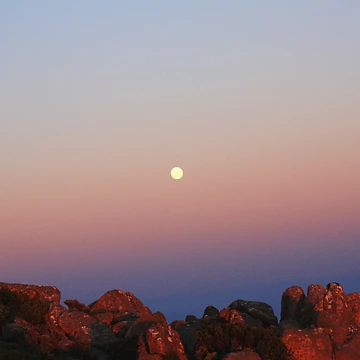 Artwork thumbnail, Moon Rocks by Asoka