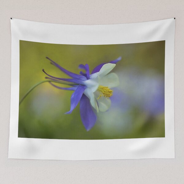 Item preview, Aquilegia designed and sold by clint hudson.