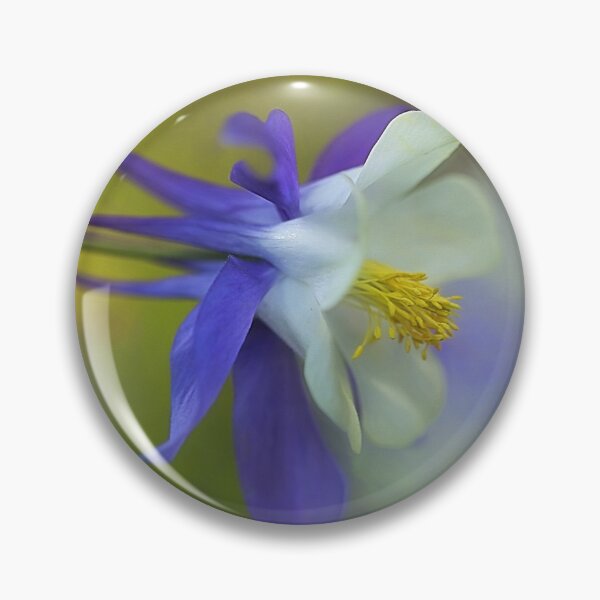 Item preview, Aquilegia designed and sold by clint hudson.