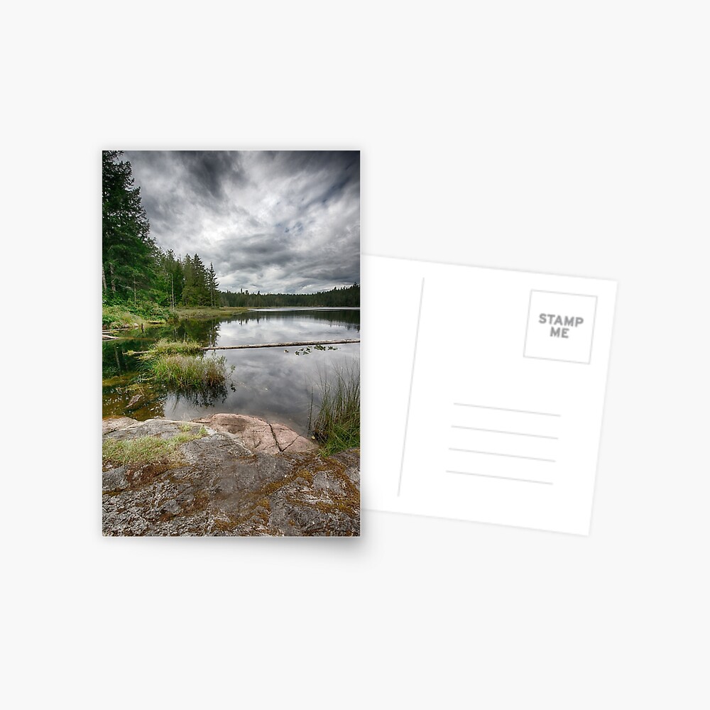 Lake on Gifford Peninsula Postcard