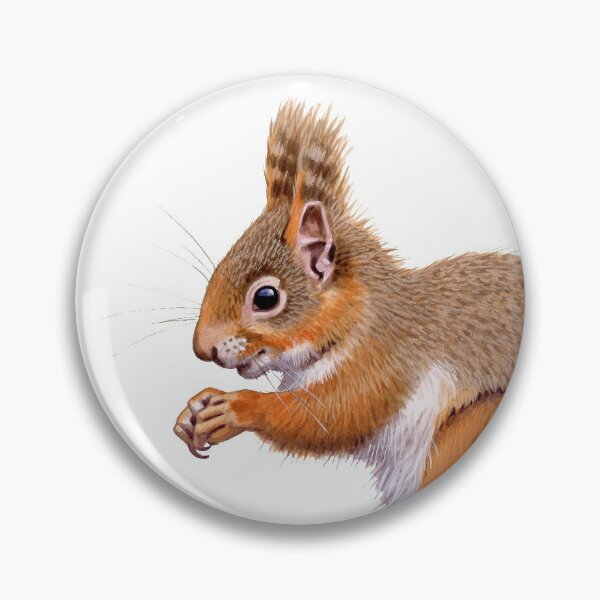 Item preview, European Red Squirrel designed and sold by kokayart.