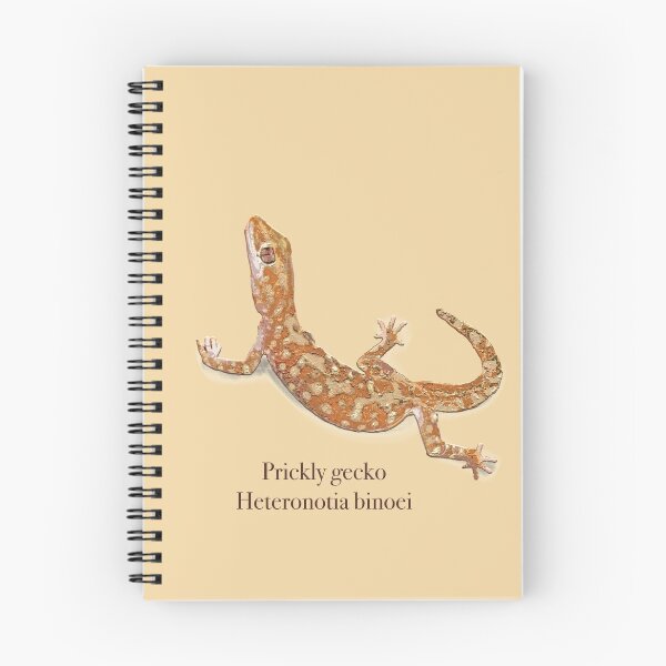 Item preview, Prickly Gecko Heteronotia binoei by Chrissy Wild designed and sold by ChrissyWild.