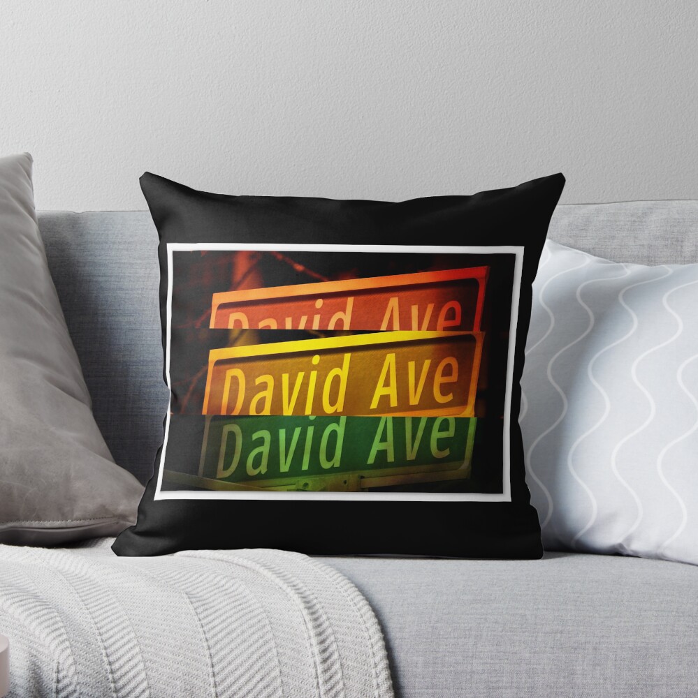 David Throw Pillow