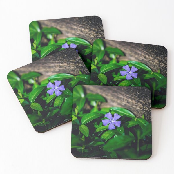 Item preview, In Bloom designed and sold by Bill Slader.