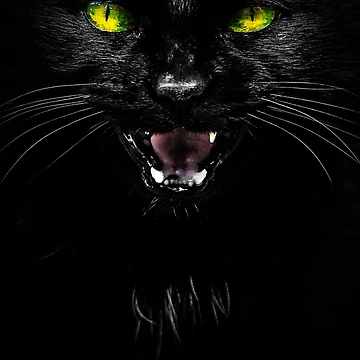 Artwork thumbnail, Angry Cat by Bartrand Design Studio