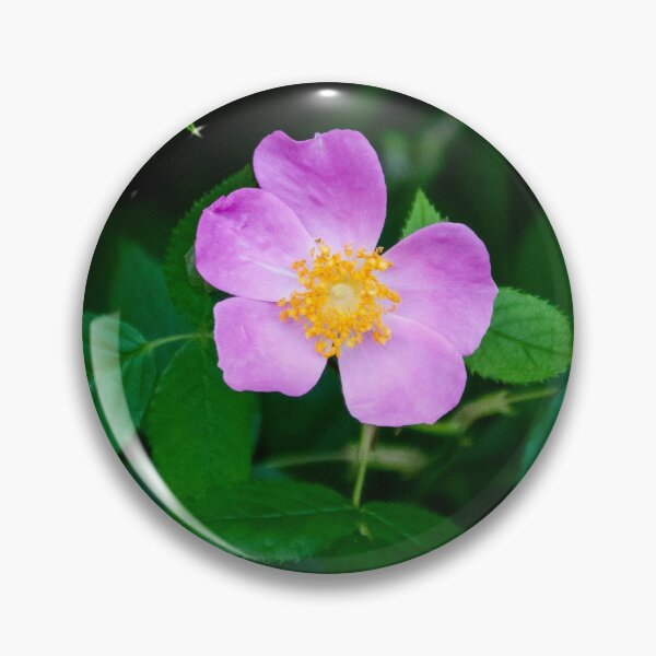 Item preview, Wild Rose designed and sold by Bill Slader.