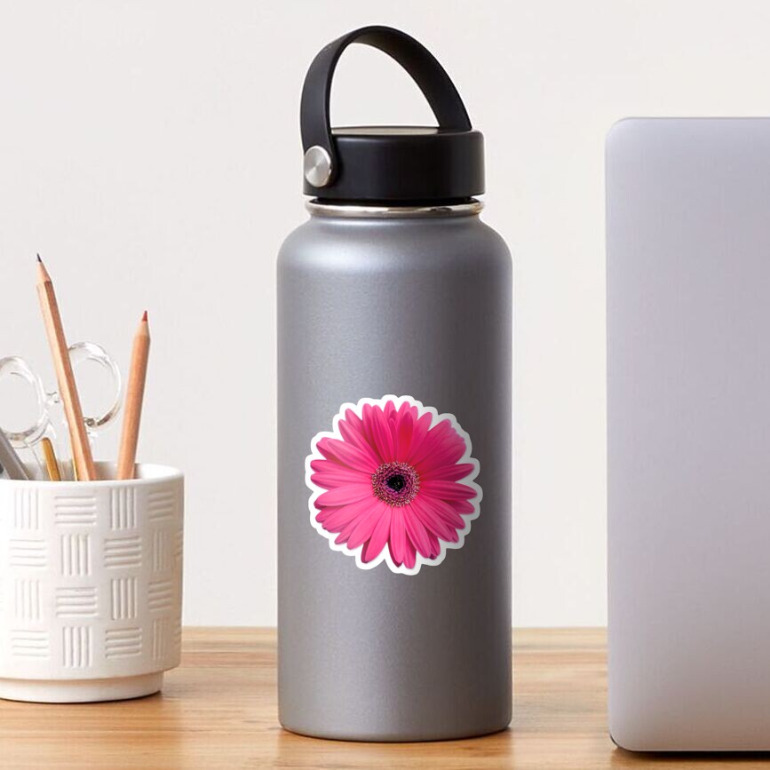 pink gerbera gerber daisy flower stickers Sticker