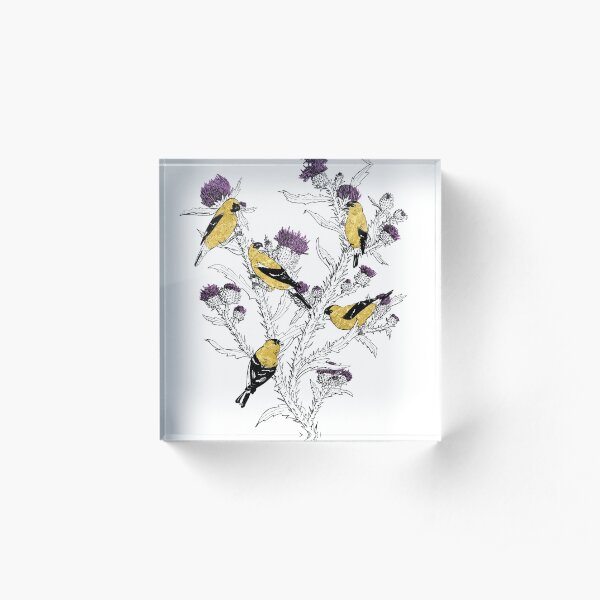 Goldfinches Acrylic Block