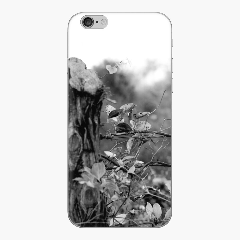 Country Road iPhone Skin