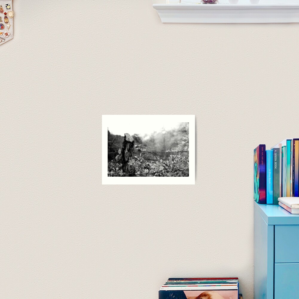 Country Road Art Print