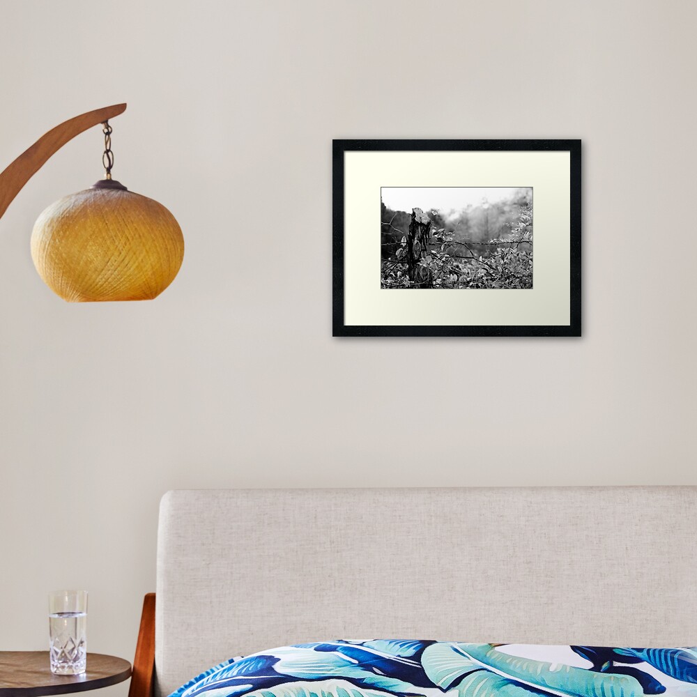 Country Road Framed Art Print