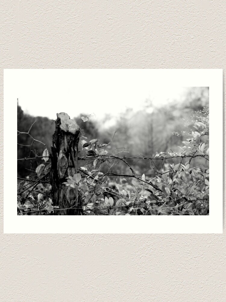 Alternate view of Country Road Art Print