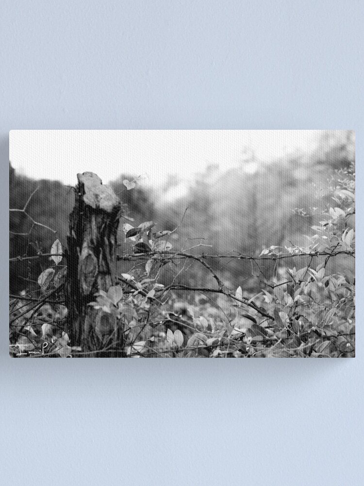 Alternate view of Country Road Canvas Print
