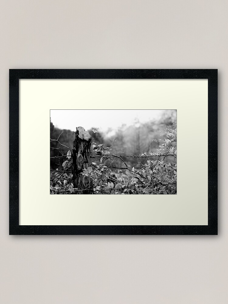 Alternate view of Country Road Framed Art Print