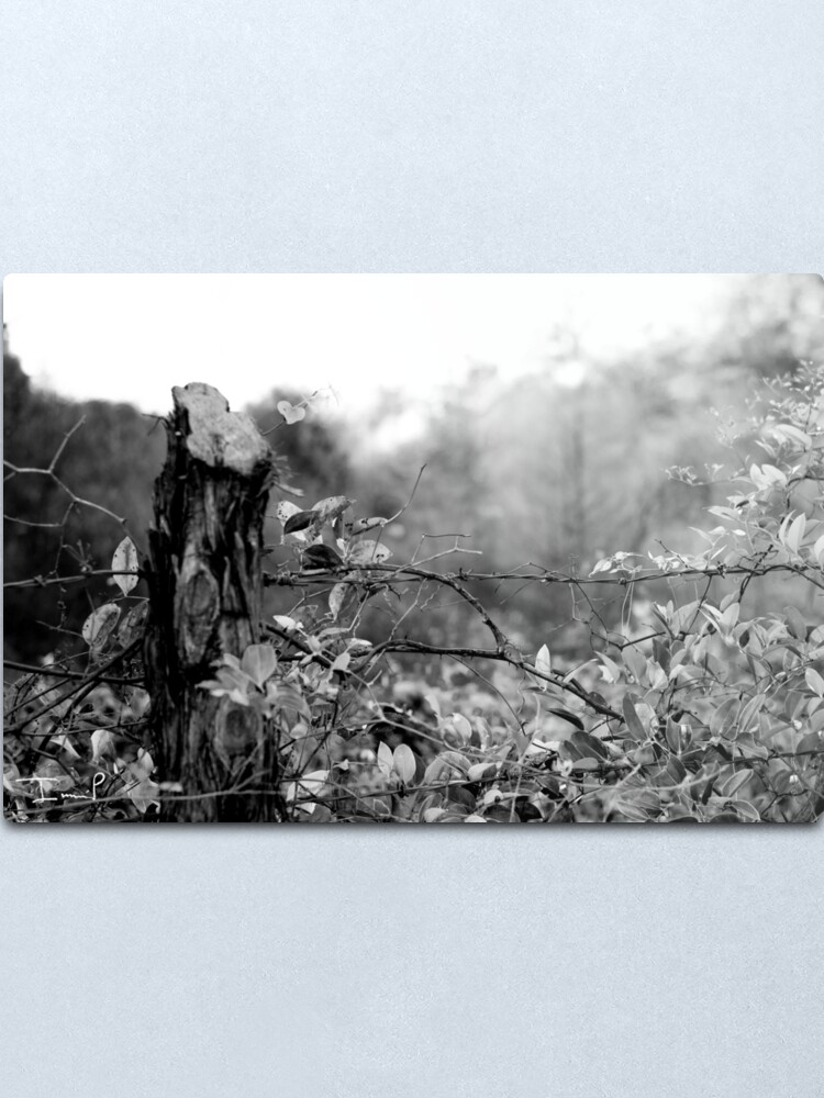 Alternate view of Country Road Metal Print