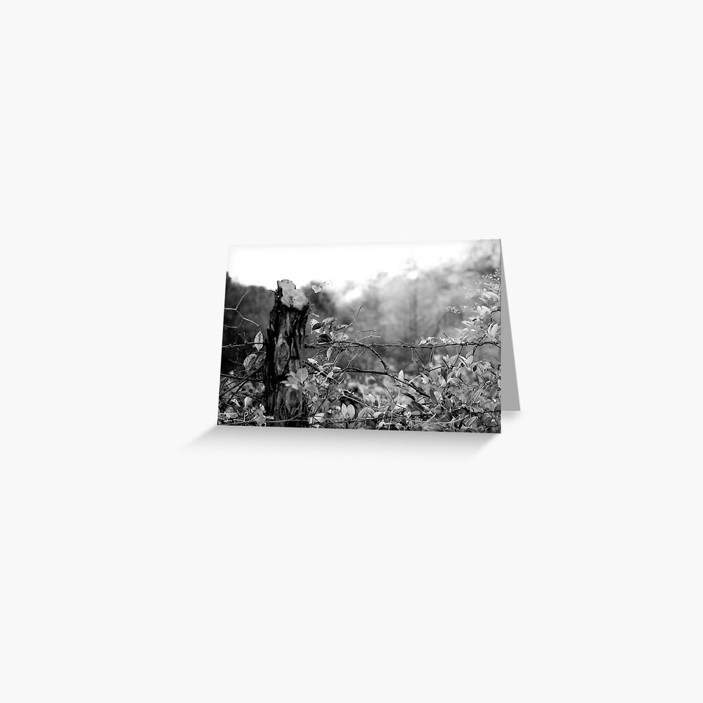 Country Road Greeting Card