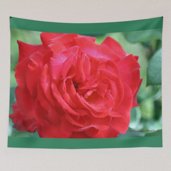 Item preview, As Big As Can Be designed and sold by Katagram.