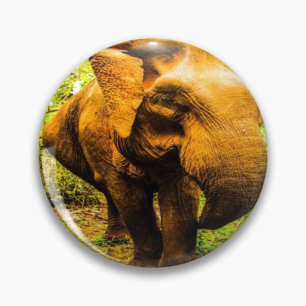Item preview, fwc 1355 africa animal barbaric designed and sold by fred chiea.