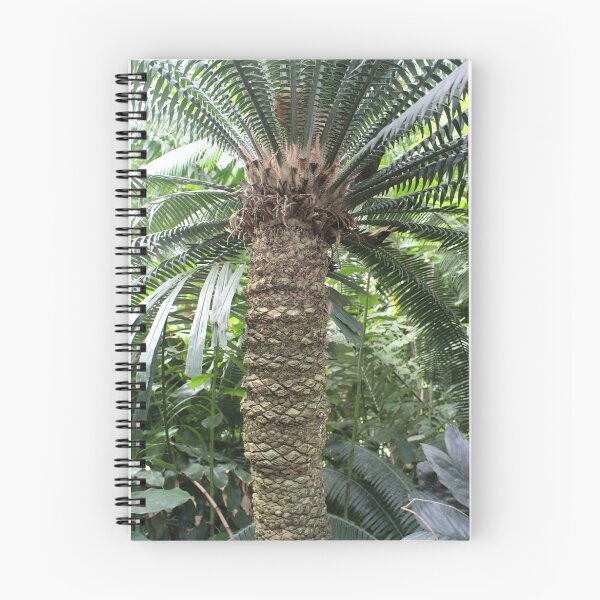 Item preview, Tropical Palm Tree Fern, Kew Gardens designed and sold by Fiona Cross.
