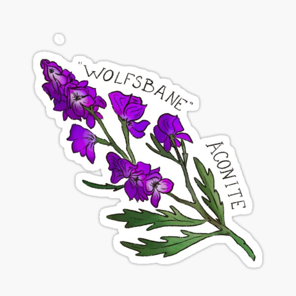 “Wolfsbane” aconite Sticker