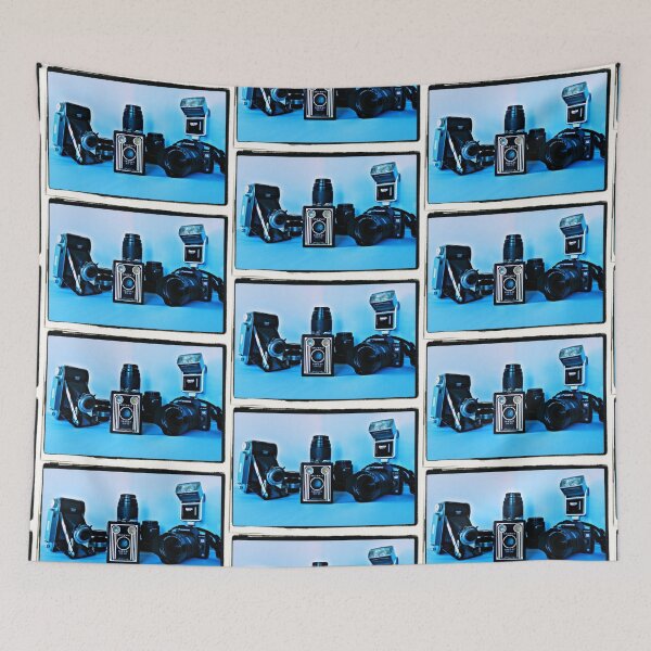 Item preview, Cameras designed and sold by Rebecca McGuire.