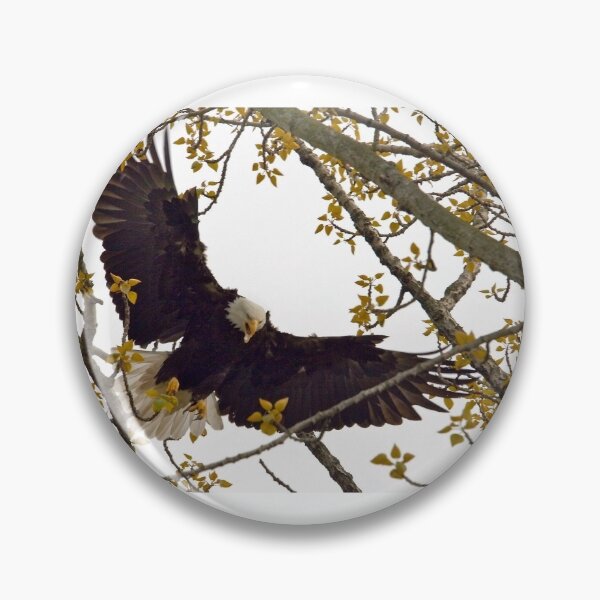 Item preview, Eagle intimidation designed and sold by RichImage.