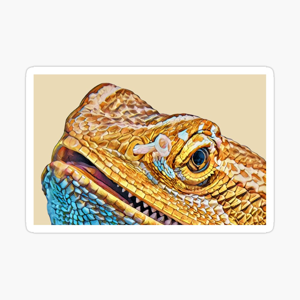 Bearded Dragon Mushroom Greeting Card By Tokagedesigns Redbubble