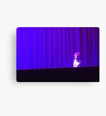Noel Fielding Stage Canvas Print