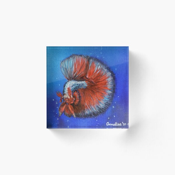 Betta Buddy - Hugo's Dream Acrylic Block