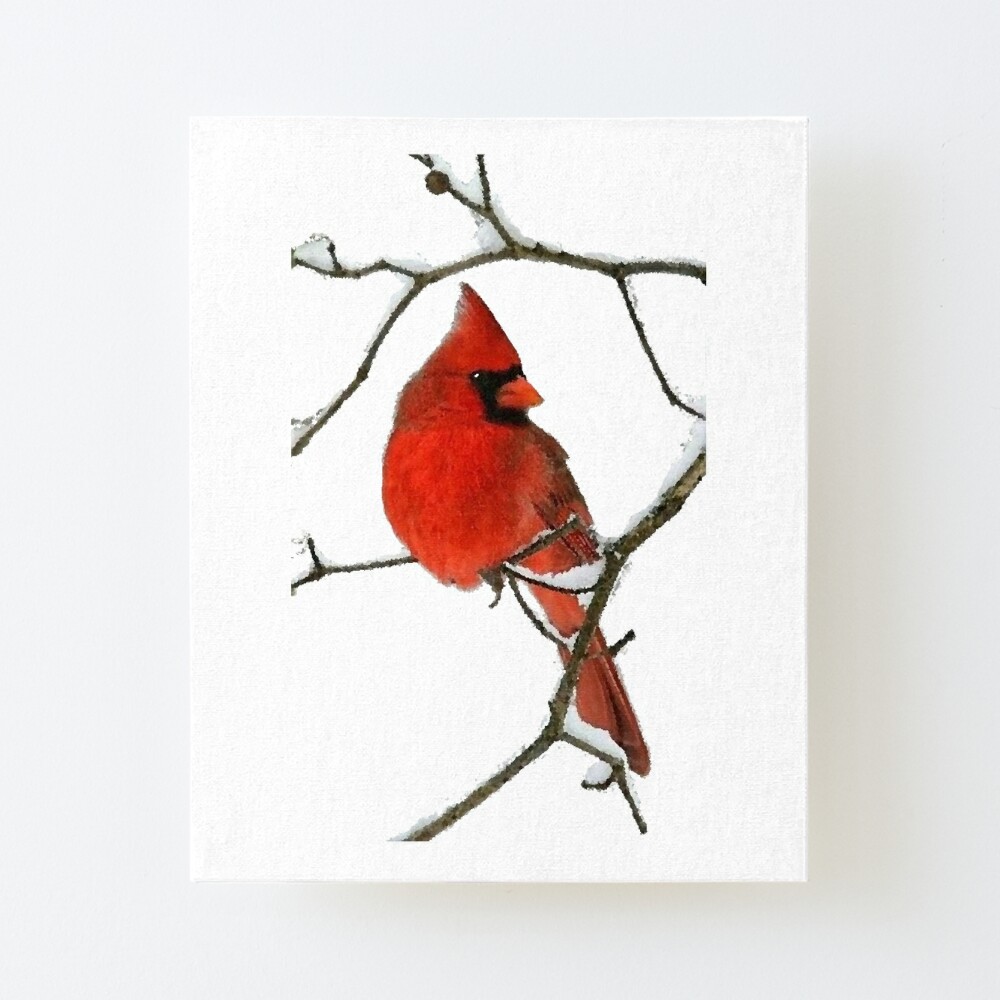 Beautiful Cardinal Portrait Pet Bandana for Sale by