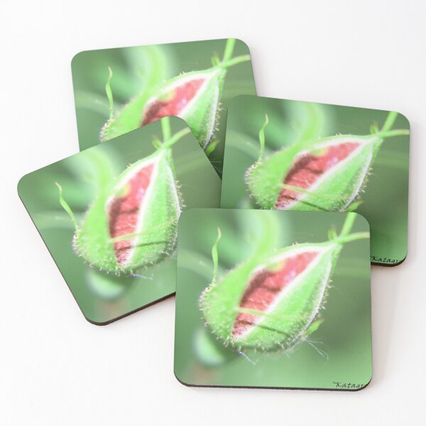 Item preview, MacroBud designed and sold by Katagram.