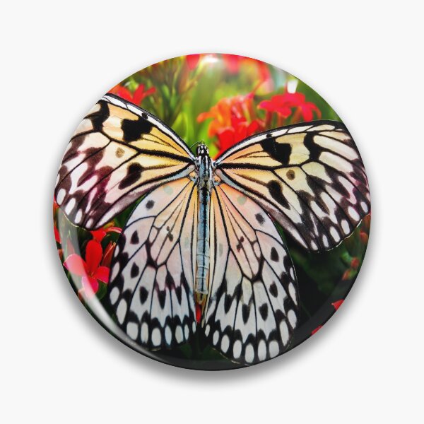 Item preview, fwc 1388 beautiful bloom blooming designed and sold by fred chiea.