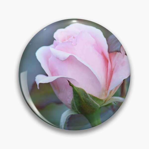 Aperçu de l'œuvre Rose Rose Bud Bloom créée et vendue par ReneeKennedy.